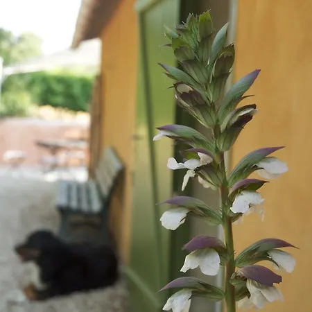 Le Petit Bacalan Mormoiron