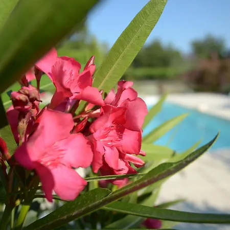Holiday home Le Petit Bacalan
